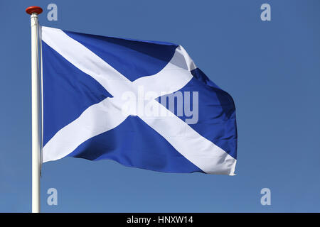 Schottische Flagge im wind Stockfoto