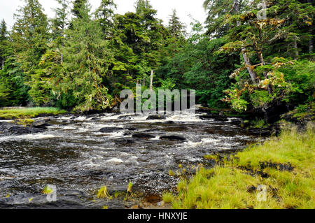 Anzeigen einer Landschaft Alaskas Sotheast Tongass National forest Stockfoto
