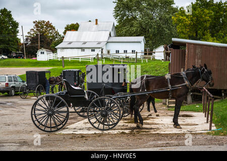 Amische Pferd und Buggys auf einen Hitching Post in Dalton, Ohio, USA. Stockfoto