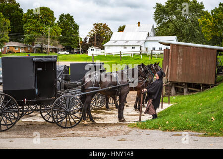 Amische Pferd und Buggys auf einen Hitching Post in Dalton, Ohio, USA. Stockfoto