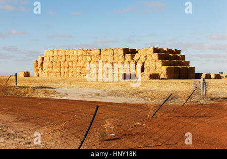 Heuhaufen auf Ackerland, Western Australia. Stockfoto