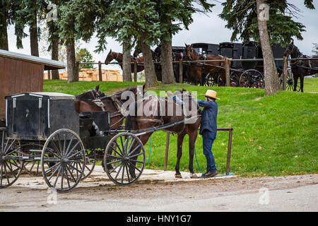 Amische Pferd und Buggys auf einen Hitching Post in Dalton, Ohio, USA. Stockfoto