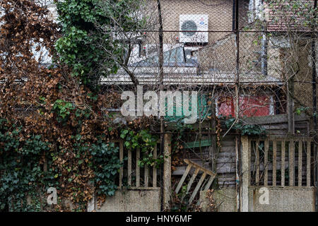 Verfallene Mauer und Garten in Clapham, Süd-London, England, UK. Stockfoto