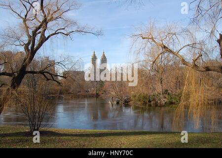 Winterliche Central Park in New York City Stockfoto