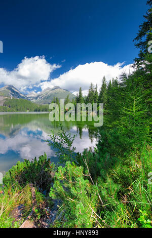 Blick zum Strbske Pleso See in der hohen Tatra im Sommer, Slowakei, Europa Stockfoto