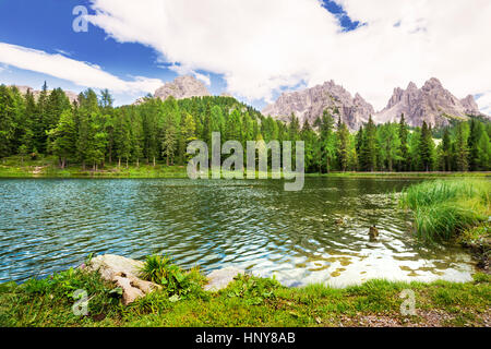 Enten am See Lago Antorno mit Blick auf Dolomiten, Italien. Stockfoto