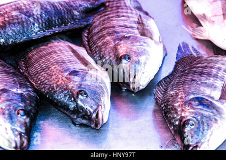 Haufen von Red Snapper ganze Fische Stockfoto