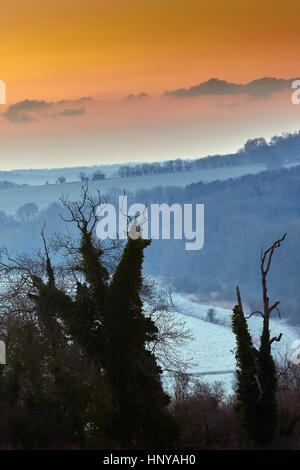 Winterbäume bei Sonnenaufgang in der UK-Landschaft Stockfoto