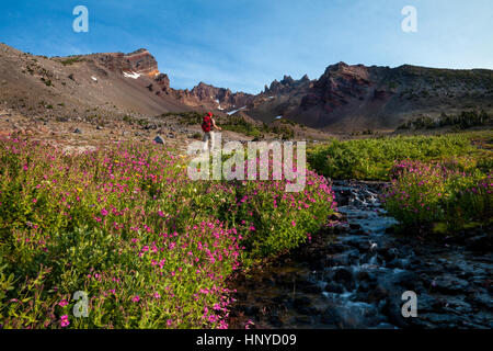 Wanderer im blühenden Berg Becken außerhalb Bend, Oregon Stockfoto