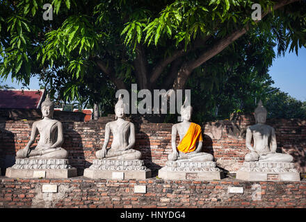 Buddha-Statuen unter dem Baum, eins mit gelben Streifen in Wat Yai Chai Mongkol Kloster in Ayuttaya, Thailand Stockfoto