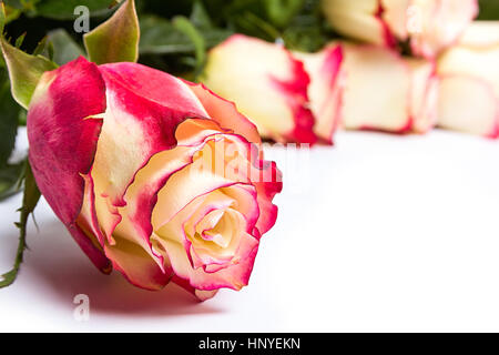 Bunte Blumenstrauß aus roten Rosen isoliert auf weißem Hintergrund. Closeup. Stockfoto