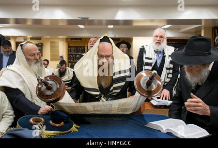 Ein religiöser orthodoxen jüdischen Mann beginnt Aufhebung der Tora nach einer Lesung im Morgengebet an einem Sunagogue in Brooklyn, New York. Stockfoto