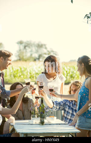 Freunde, die Gläser klirren, und genießen Sie Wein im freien Stockfoto