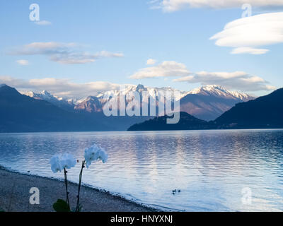 Pianello del Lario, Como - Italien: Abendlicht am Comer See mit schneebedeckten Bergen und trübe bestimmten Konformationen Stockfoto