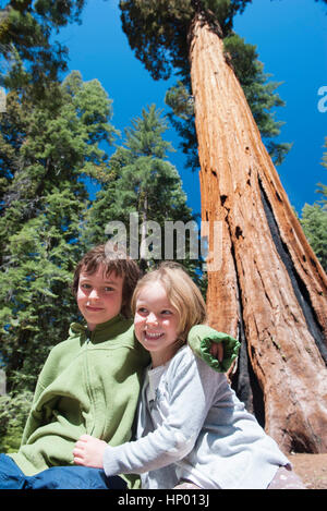 Junge Geschwister zusammensitzen unter einem gigantischen Sequoia Baum Stockfoto