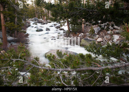 Strom fließt über Felsen, Yosemite-Nationalpark, Kalifornien, USA Stockfoto