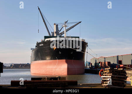Anasa Bulk Carrier Schiff hoch im Wasser festgemacht an Kanada dock-Liverpool uk Stockfoto