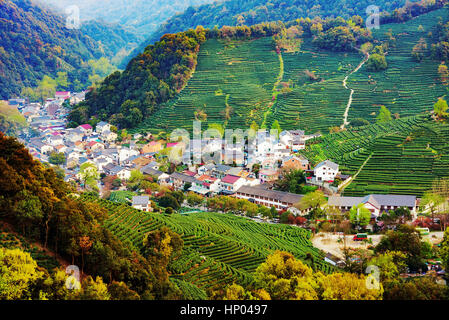 Hohe Aussicht auf Longjing Tee Felder und Dorfgebiet, eines der berühmtesten Tee-Felder in China Stockfoto