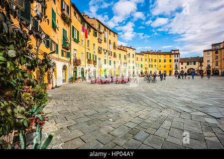 Piazza dell'Anfiteatro, Lucca, Italien Stockfoto