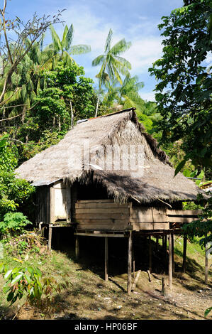 Amazonas-Landschaft. Das Foto präsentieren typische Indianerstämme, Kolumbien Stockfoto