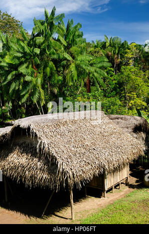 Amazonas-Landschaft. Das Foto präsentieren typische Indianerstämme, Kolumbien Stockfoto