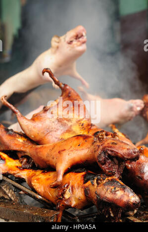 Traditionelle Köstlichkeiten aus Südamerika, gebratenes Meerschweinchen (cuy), Ecuador Stockfoto