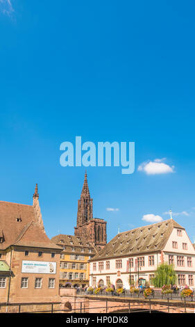 Straßburger Münster, gesehen vom Quai Saint-Nicolas, Museum für Stadtgeschichte auf der rechten Seite, Straßburg, Elsass, Bas-Rhin, Frankreich Stockfoto