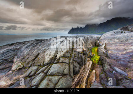 Des Teufels Zähne Sicht, Tungeneset, Okshornan Spitzen, Senja, Troms, Norwegen Stockfoto