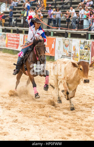 Roping Wettbewerb. Weibliche Rodeo-Wettbewerb in Las Malocas Park gefeiert. Villavicencio, Kolumbien. Stockfoto