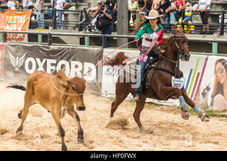 Roping Wettbewerb. Weibliche Rodeo-Wettbewerb in Las Malocas Park gefeiert. Villavicencio, Kolumbien. Stockfoto