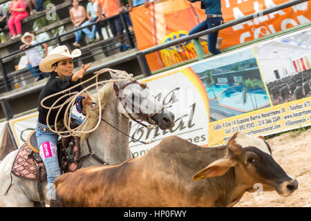 Roping Wettbewerb. Weibliche Rodeo-Wettbewerb in Las Malocas Park gefeiert. Villavicencio, Kolumbien. Stockfoto