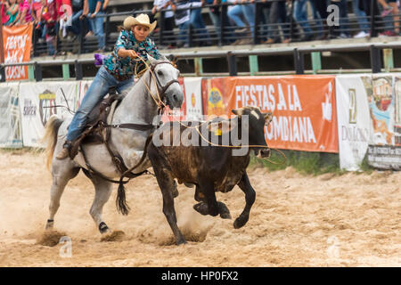 Roping Wettbewerb. Weibliche Rodeo-Wettbewerb in Las Malocas Park gefeiert. Villavicencio, Kolumbien. Stockfoto