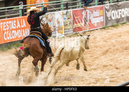 Roping Wettbewerb. Weibliche Rodeo-Wettbewerb in Las Malocas Park gefeiert. Villavicencio, Kolumbien. Stockfoto