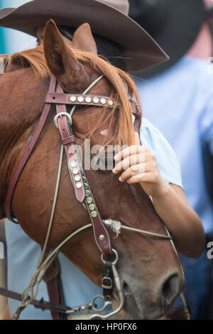 Mädchen streichelt den Kopf auf seinem Pferd. Weibliche Rodeo-Wettbewerb in Las Malocas Park gefeiert. Villavicencio, Kolumbien. Stockfoto