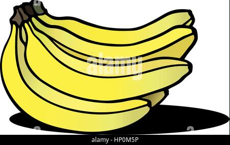 Ein frisches Bündel Bananen. Vector Illustration. Stock Vektor