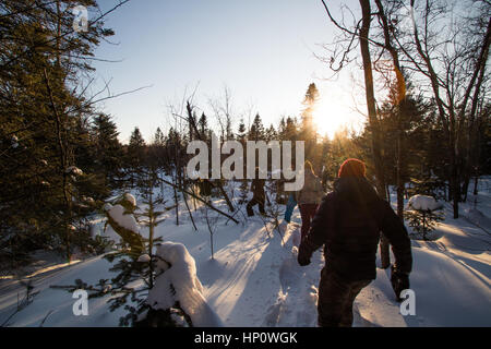 Schneeschuh Rennen während des Sonnenuntergangs Stockfoto