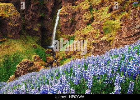 Die malerische Landschaft der Wälder und Berge Stockfoto