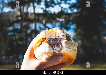 Greasy Home Stil Käse burger Stockfoto