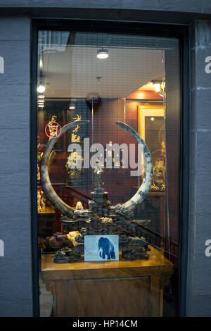 Elfenbein-Shop Verkauf von Elfenbein und anderen Antiquitäten in Hongkong geschnitzt Stockfoto