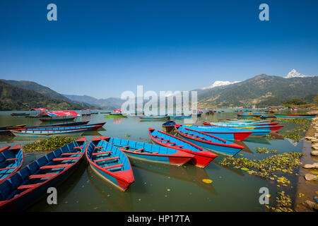 Ruderboote aufgereiht am Fewa Lake (Phewa Tal), Pokhara, Nepal mit Machhapuchre im Hintergrund Stockfoto