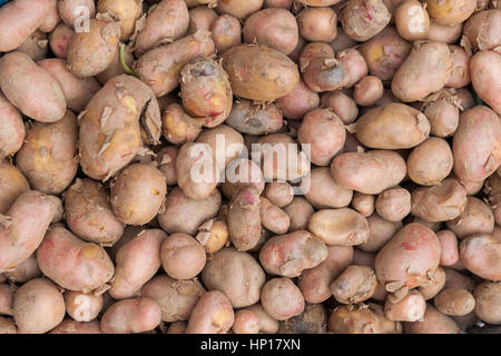 Kartoffeln auf einem Markt in Nepal Stockfoto