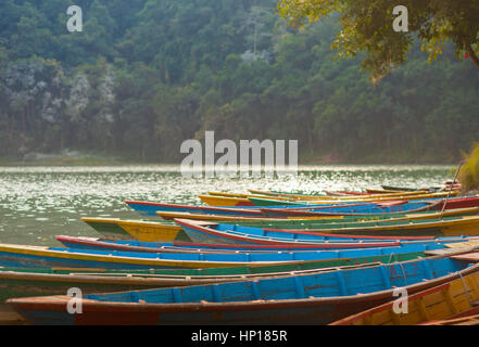 Ruderboote aufgereiht am Fewa Lake (Phewa Tal), Pokhara, Nepal mit Machhapuchre im Hintergrund Stockfoto