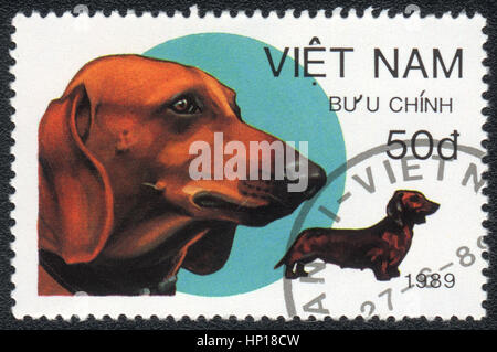 Eine Briefmarke gedruckt in Vietnam zeigt einen Dackel aus Serie Rassen von Jagdhunden, 989 Stockfoto