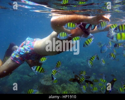 Schnorcheln in Koh Rok im Lanta Marine National Park. Koh Lanta. Krabi. Thailand. Schnorcheln: ganze Jahr, je nach Wetter- und Seebedingungen Condi Stockfoto