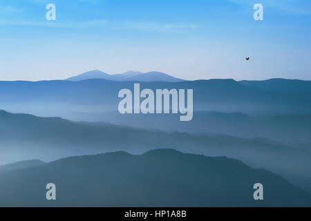 Fliegender Vogel über die Berge des Parque natural De La Sierra y Los Cañones de Guara in Pano, Huesca, Spanien Stockfoto