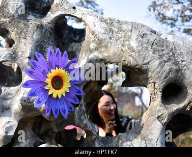 Der chinesischen Nanchang, Jiangxi Provinz. 17. Februar 2017. Ein Tourist posiert für Fotos neben einem blumenförmigen Windrad in Tianxiang Park in Nanchang, Hauptstadt der Osten Chinas Jiangxi Provinz, 17. Februar 2017. Tianxiang Park war mit mehr als 2.000 Arten von Windräder verziert. Bildnachweis: Hu Chenhuan/Xinhua/Alamy Live-Nachrichten Stockfoto