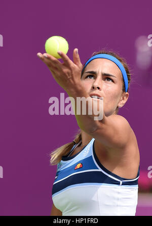 Doha, Katar. 17. Februar 2017. Monica Puig von Puerto Rico dient während der Frauen Singles Viertelfinalspiel gegen Daria Kasatkina Russlands auf WTA Qatar Open 2017 bei der internationalen Khalifa Tennis Komplex von Doha, Qatar, 17. Februar 2017. Bildnachweis: Nikku/Xinhua/Alamy Live-Nachrichten Stockfoto