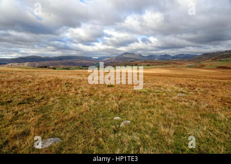 Robuste Moor in der Nähe von Nether Wasdale in Cumbria Stockfoto