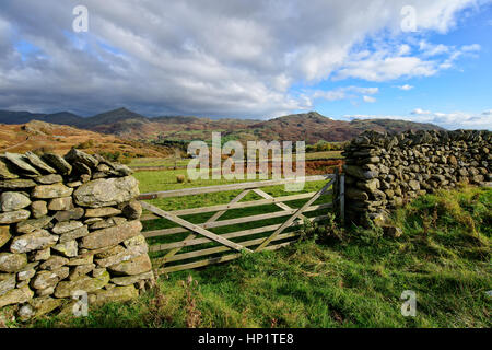 Ein Blick auf den Fjälls bei Grimecrag in der Nähe von Ulpha im Lake District in Cumbria Holztor Stockfoto