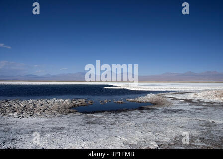 Salar de Atacama, Salzsee, Atacamawueste, Chile, Suedamerika - Salar de Atacama, salt Lake, Atacama-Wüste, Chile, Südamerika Stockfoto